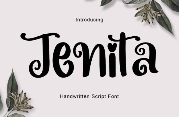 Jenita: A Cute Swirly Font for Script Amp Branding