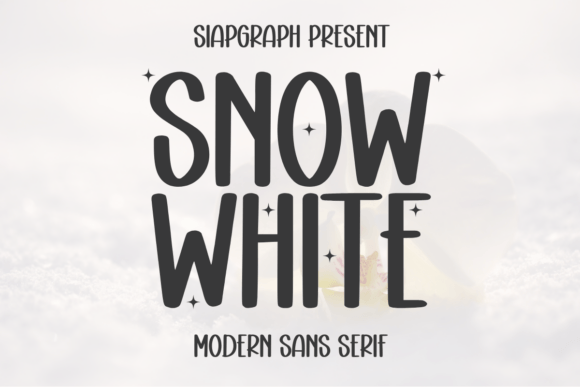 Snow White: A Bold Sans Serif Font for Local Business Branding